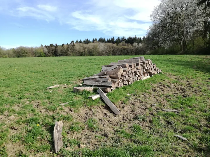 Les Lacs de l'eau d'Heure, Froidchapelle (België)